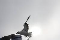 Schiffahrt in der Walvis Bay