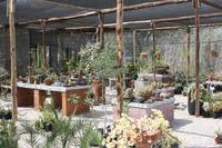 Pause in einer wunderschönen Gärtnerei