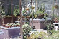 Pause in einer wunderschönen Gärtnerei