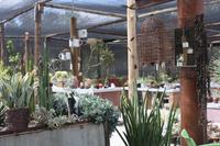 Pause in einer wunderschönen Gärtnerei