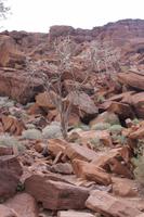 Twyfelfontein