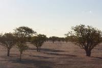 Etosha-Nationalpark