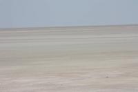 Etosha-Pfanne