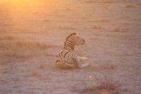Etosha-Nationalpark