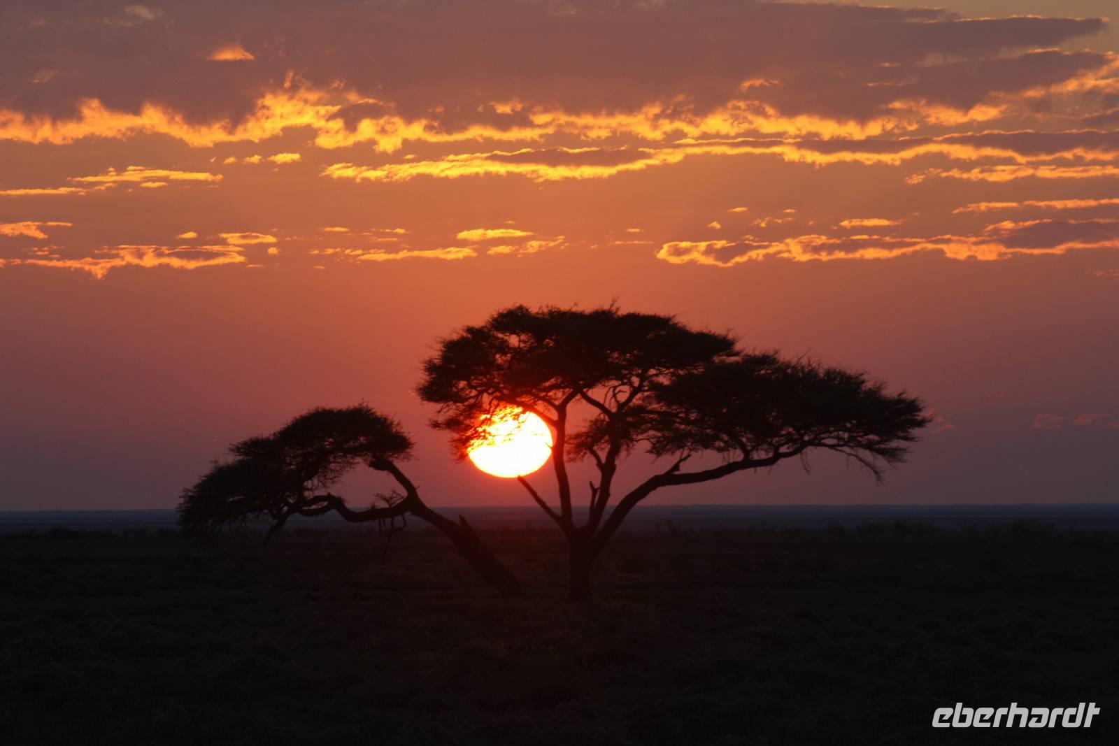 Sonnenaufgang im Etosha