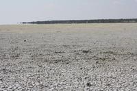 Etosha-Nationalpark