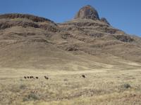 Auf der Fahrt am Rande der Namib