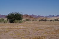 Ausblick in die Weite Namibias