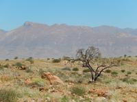 Brandberg Namibia