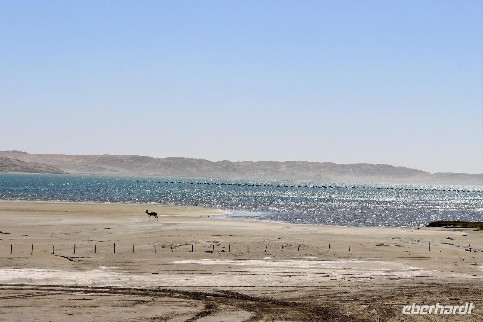 Bucht von Lüderitz