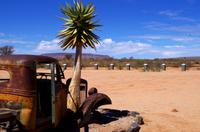 Canyon Roadhouse