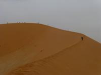 Dünenwanderung