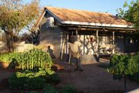 Damara Mopane Lodge 