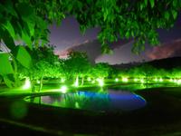 Damara Mopane Lodge
