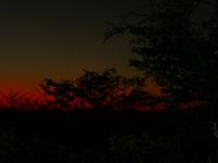 Etoscha Sonnenuntergang