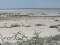 Etoschapfanne
