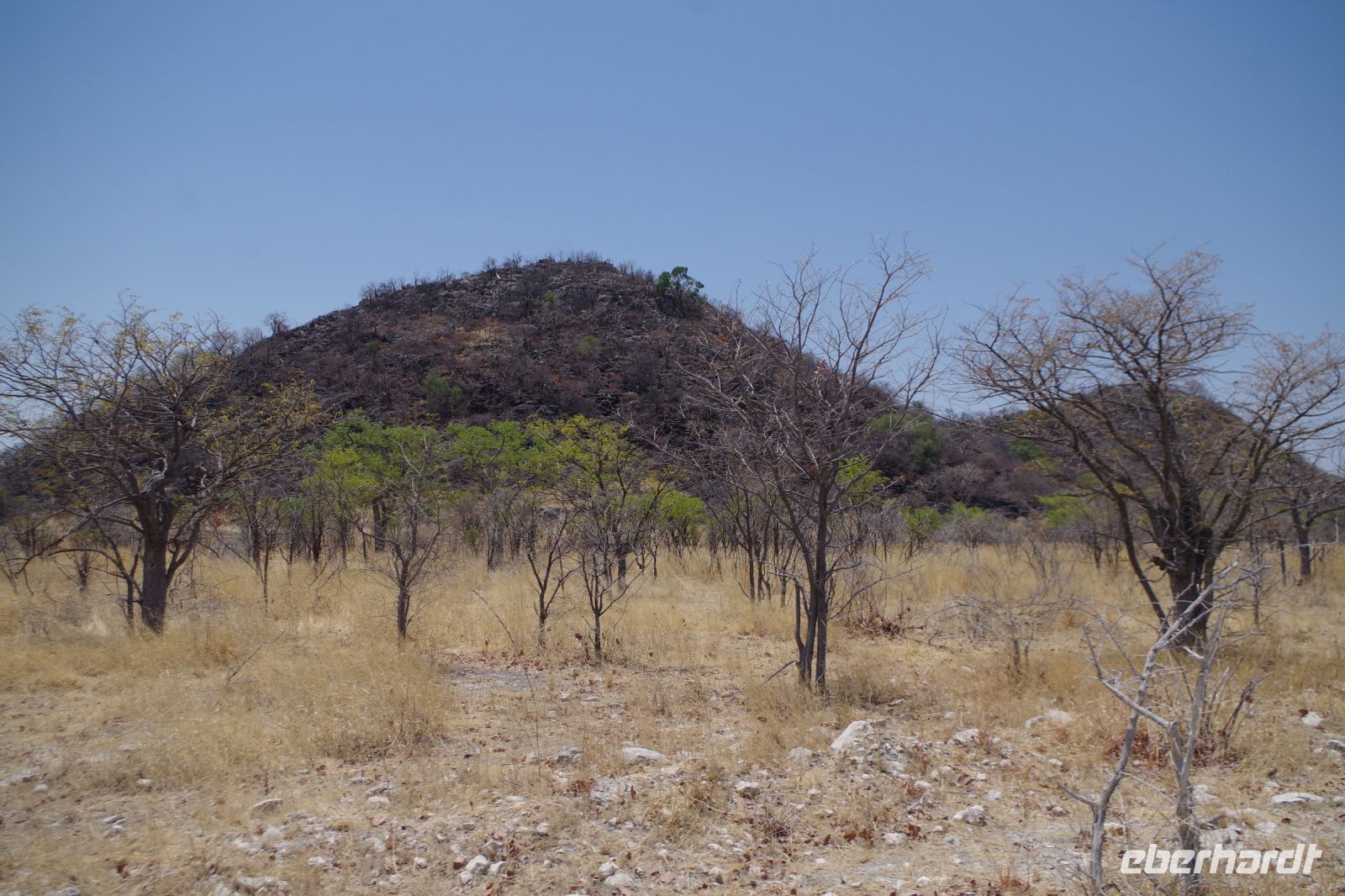 Etosha Nationalpark - Helio Hügel