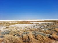 Etosha Nationalpark - weite Salzpfanne
