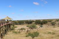 Etosha Nationalpark