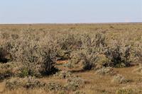 Etosha Nationalpark