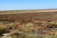 Etosha Nationalpark