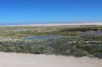 Etosha Nationalpark