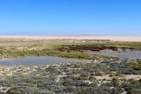 Etosha Nationalpark