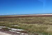 Etosha Nationalpark
