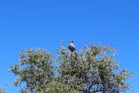Etosha Nationalpark