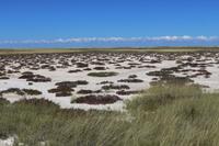 Etosha Nationalpark