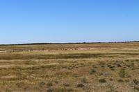 Etosha Nationalpark