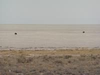 Etosha Pfanne