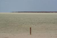 Etosha Pfanne