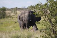 Etosha-Nationalpark