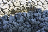 Etosha-Nationalpark
