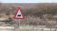 Fahrt in den Etosha Nationalpark