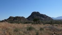 Fahrt in die Kalahari (4)