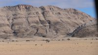 Fahrt nach Swakopmund (8)