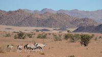 Fahrt zur Sossusvlei Lodge (5)