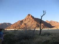 Felsen in der Namib