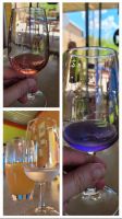 Gin Tasting