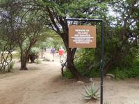 Hoba Meteorit