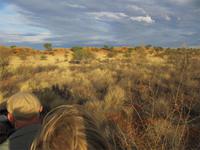 In der Kalahari