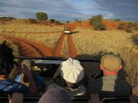 In der Kalahari