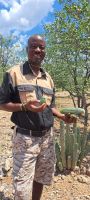 John zeigt uns die Hoodia