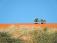 Kalahari