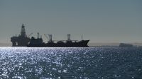 Katamaranfahrt in der Walvis Bay (7)