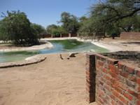 Krokodilfarm in Otjiwarongo