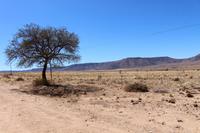 Landschaft bei Aus