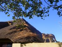 Lapa Lange Lodge